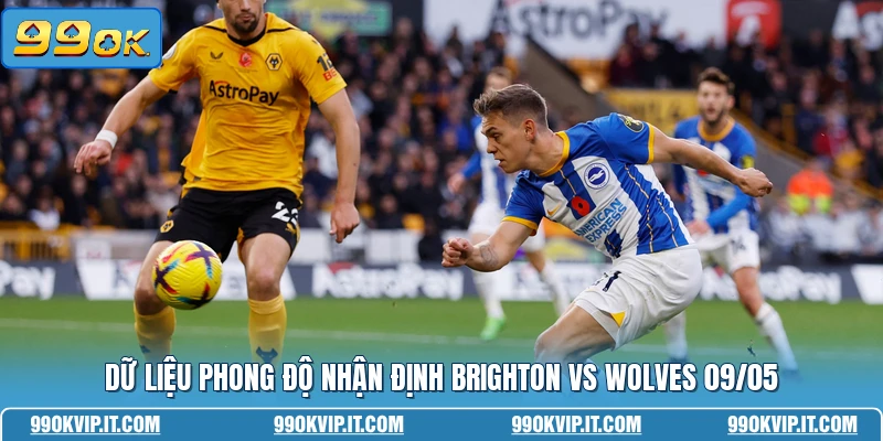 Dữ liệu phong độ nhận định Brighton vs Wolves 09/05